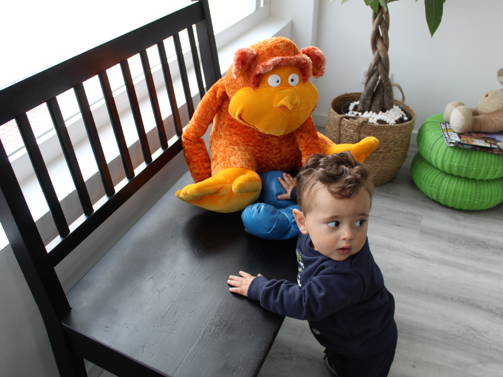 Fotos web (5)